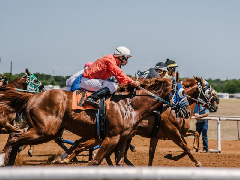 Horse Racing