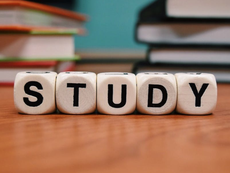 Study