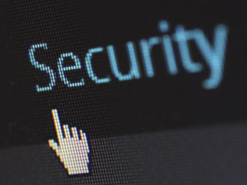 Security and Regulation Shape Choices